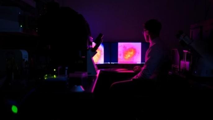MSU scientists create first human heart organoid to replicate A-fib