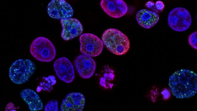 Blazing a new trail in drug discovery