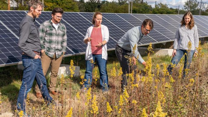 Farming meets solar power in new MSU project