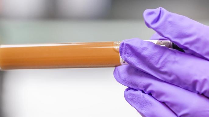 Faster methods for detecting viruses in food, water