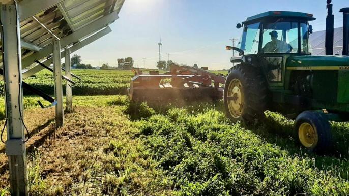 Combining agriculture and solar power to create dual revenues