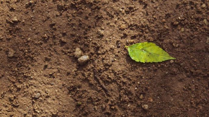Biosystems and Agricultural Engineering shows children its importance