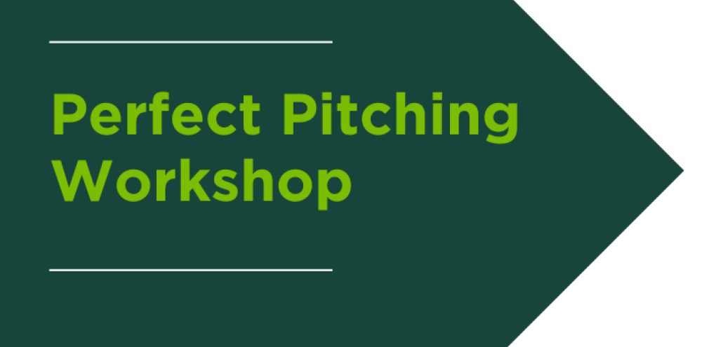 Perfect Pitching Workshop graphic