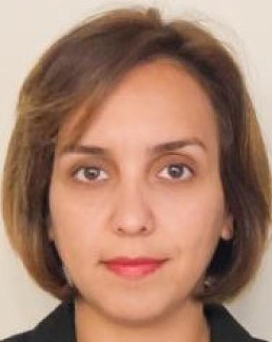 Professional Headshot of Bahare Kiumarsi