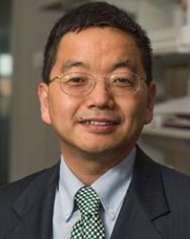 Professional Headshot of Xuefei Huang