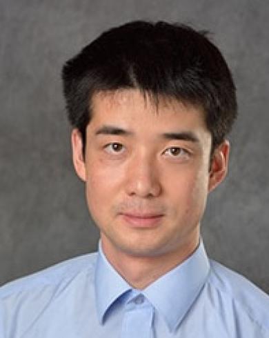Professional Headshot of Yang Yang