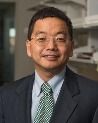 Professional Headshot of Xuefei Huang
