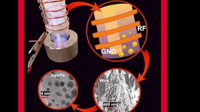 Plasma Processes and Polymers