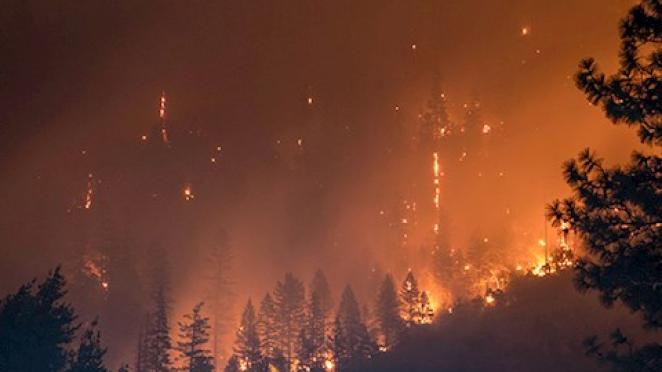 Detecting forest fires