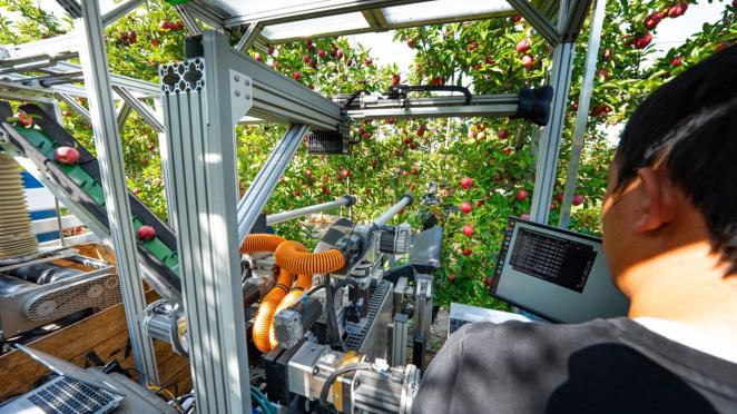 Apple of my AI: MSU’s improved robotic apple picker 