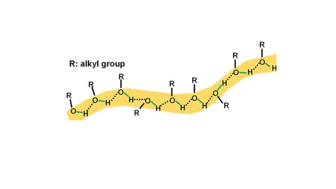 Shiwang Cheng research shows alcohols are 'living' polymers