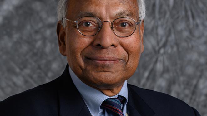 International honor for Anil Jain