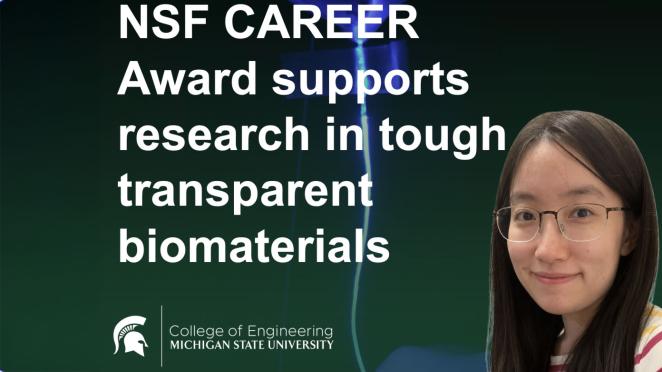 NSF CAREER Award supports research in tough, transparent biomaterials