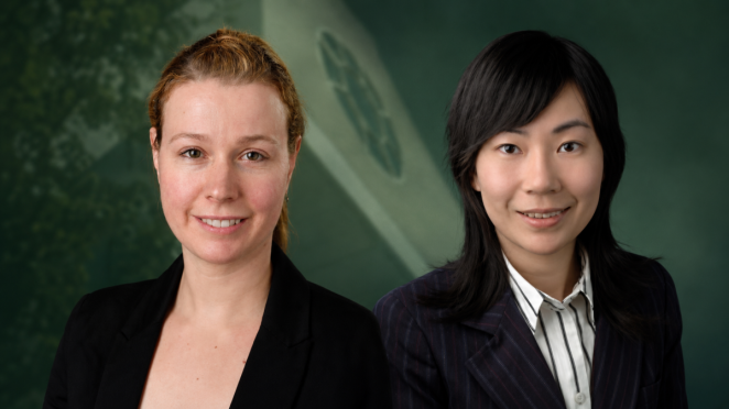 Two Spartan Engineers earn top professor honors