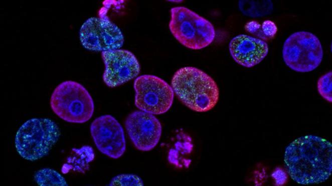 Blazing a new trail in drug discovery