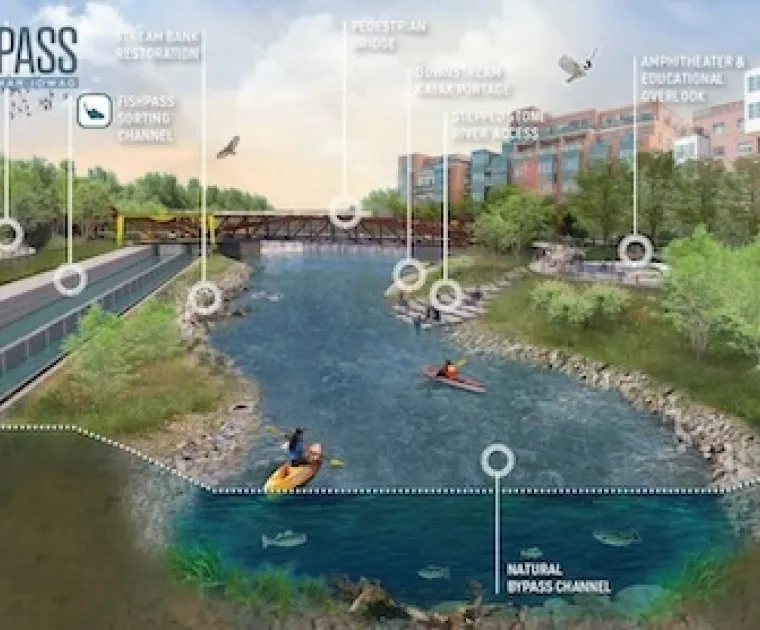 MSU project hailed as ‘Holy Grail’ of invasive species control   