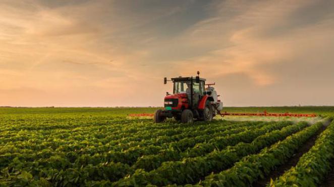 Research Spotlight: Helping crops talk back to stress and disease