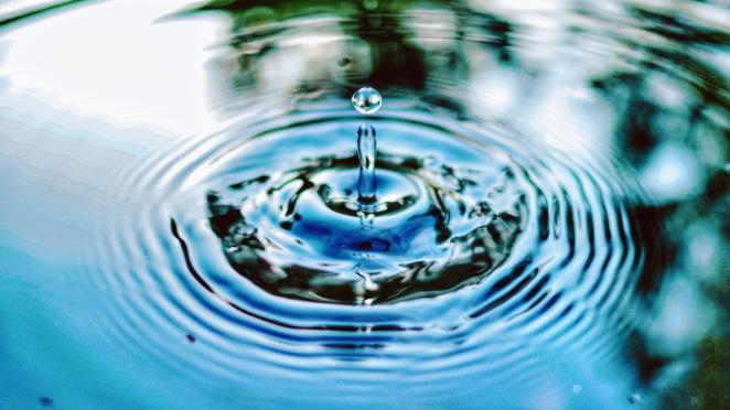 MSU researchers working to keep Michigan's water safe and healthy